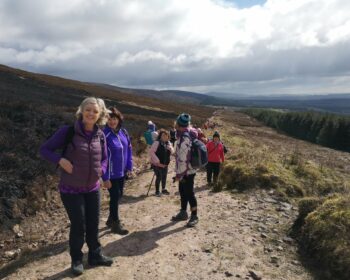 Mount Melleray Walks in June 2022